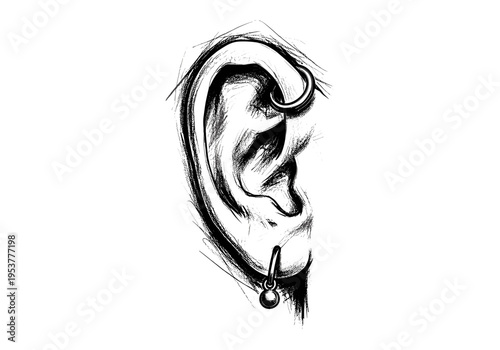 Artistic sketch of a human ear with multiple piercings and jewelry, black and white