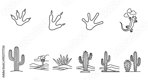 Photos Cactus desert plants and animal tracks.