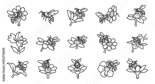 Bees flying around various flowers.