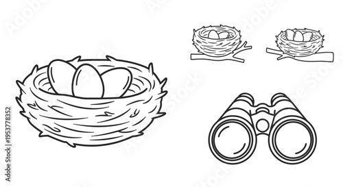 Bird nest with eggs illustration.