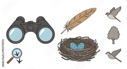 Bird Watching Equipment and Nest.