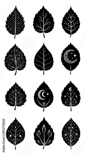 Black leaves with celestial designs.