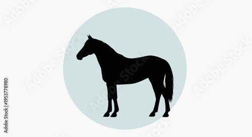 Black horse silhouette standing profile.