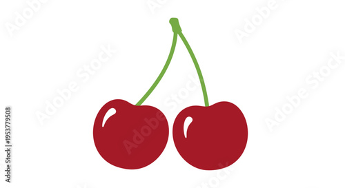 Two ripe red cherries on stem.