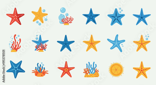 Colorful starfish and sea anemones illustration.