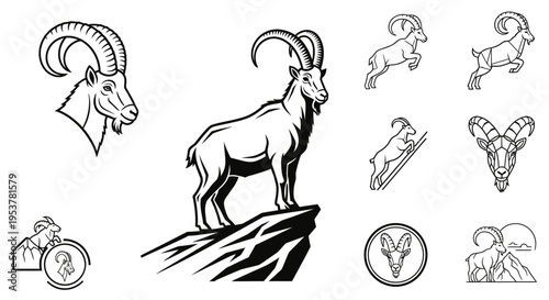 Detailed illustration of a goat standing.