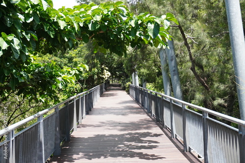 Photos Pedestrian bridge surrounded by lush greenery in tropical park