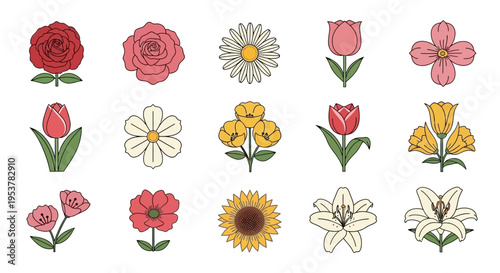 Collection of various colorful flowers.