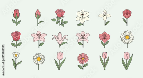 Collection of various flower types.