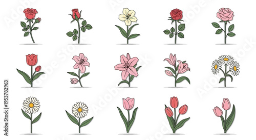 Collection of various flower types.
