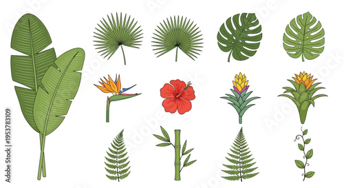 Collection of various tropical leaves and flowers.