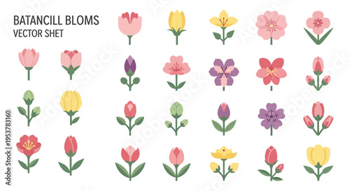Colorful Batancillo Flower Vector Illustrations.