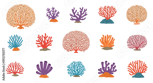 Colorful Coral Reef Marine Life.