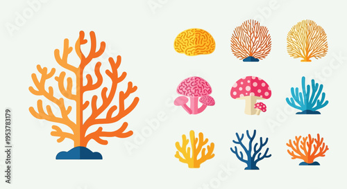 Colorful coral reef marine life.