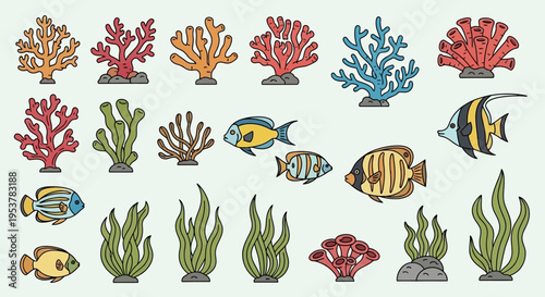 Colorful fish and coral sea creatures.