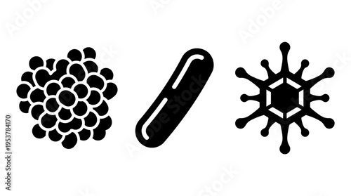 Microscopic organisms and structures in black and white