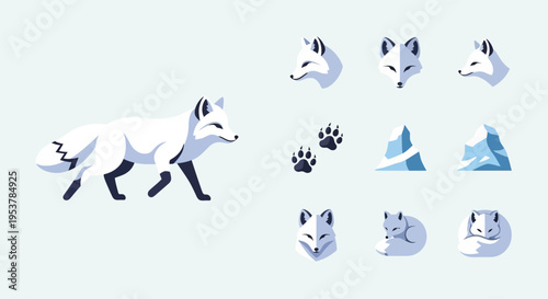 Arctic Fox Walking With Various Heads.