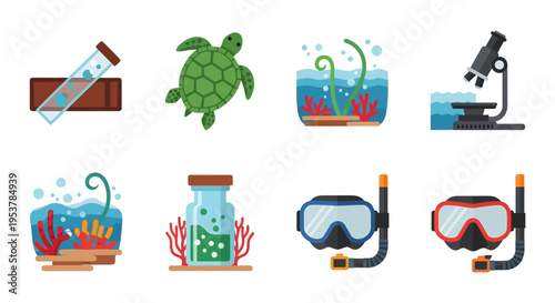 Scuba diving equipment and sea creatures.