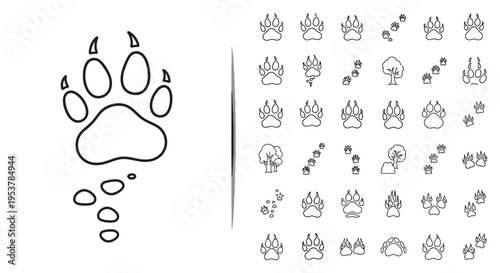 Bear paw print and animal tracks.