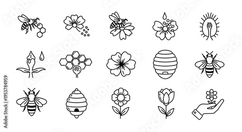 Bee and flower icons in set.