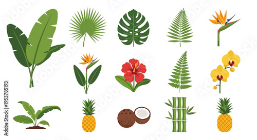 Tropical plants and fruits icons.
