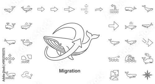 Whale Migration Movement Ocean Concept.