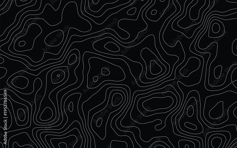 Fototapeta premium Contour Map Line Art 14