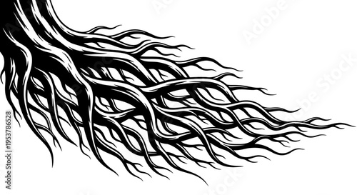 Abstract Black and White Tree Roots Illustration