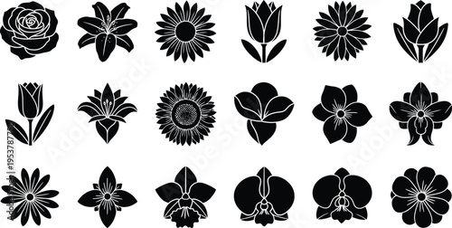 Black flower rose lily sunflower tulip orchid daisy silhouette floral botanical