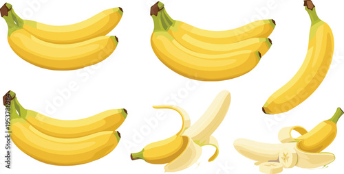 Banana fruit collection whole bunch peeled and sliced bananas vector illustration set