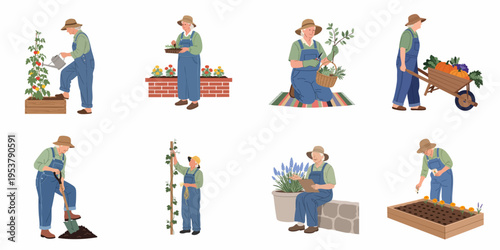 Set of illustrations showing a senior woman performing various gardening tasks, like planting, watering, and harvesting vegetables.