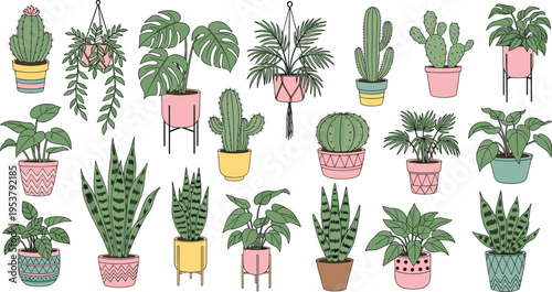 Collection of indoor houseplants in decorative pots including cactus monstera and succulents flat vector illustration home decor set