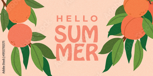 Hello summer banner with peach branches and leaves. Ripe peaches on green branch. Bright tropical illustration for seasonal promotions, posters and social media