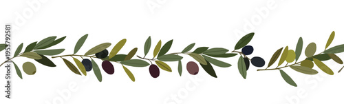 Seamless border with olive branches and fruits. Mediterranean botanical design for packaging, textiles and decorative frames.
