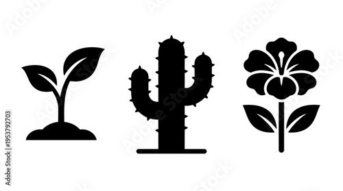 Simple icons of seedling, cactus, and flower