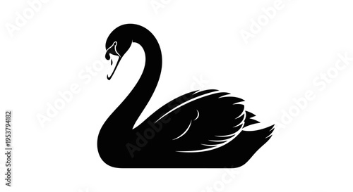 Black swan bird in profile view.