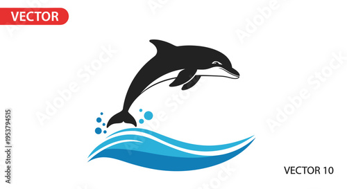 Black dolphin jumping out water vector.