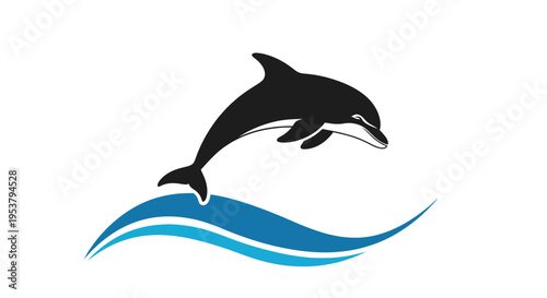 Black dolphin jumping out water.