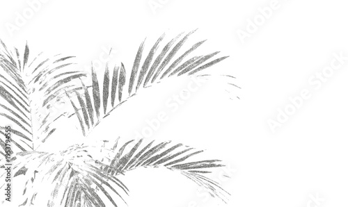Trendy monochrome stipple palm leaves silhouette. Vector illustration on an isolated background.