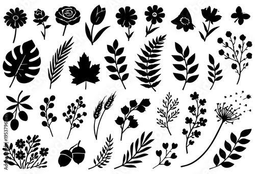 Set of 40 Black Silhouette Botanical Vector Icons: Flowers, Leaves, Branches, and Berries for Nature-Themed Designs