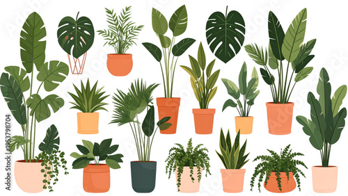 Collection of diverse potted houseplants with unique leaf shapes, colorful pots, and botanical vector illustration for interior decoration