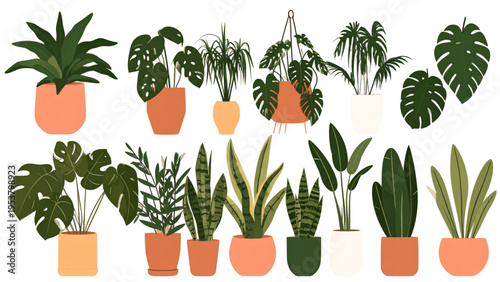 Collection of diverse potted houseplants with unique leaf shapes, colorful pots, and botanical vector illustration for interior decoration