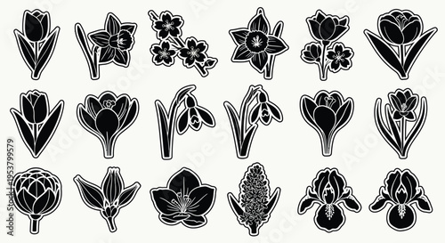 Collection of black and white flower with white outlines tulip daffodil cherry blossom