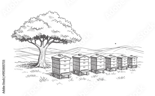 Black and white of beehives in a row under a tree in rural landscape beekeeping apiculture