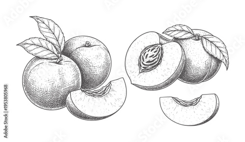 Black and white of whole and sliced peaches with leaves fruit seeds