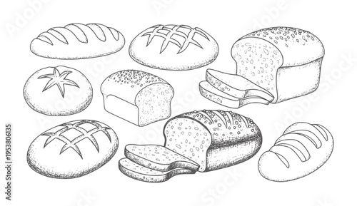 Handdrawn black and white of various types of bread loaves and slices crust