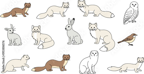 Arctic and Forest Animals Set with Foxes, Hare, Owl, and Bird, Cute Wildlife Collection for Nature, Winter Themes, and Educational Vector Illustration