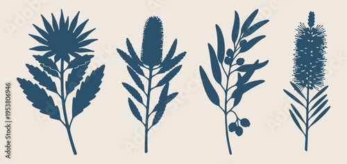 Protea and Australian flora doodle set, hand drawn botanical nature sketches, wild garden flower icon collection, minimalist plant vector graphics for design, organic floral elements for branding, nat