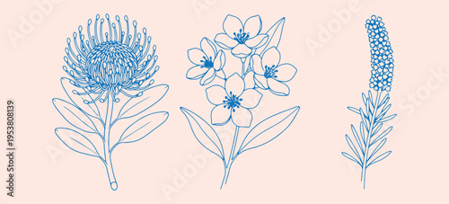 Blue spring flowers and blossoms set, hand drawn botanical floral sketches, garden bloom icon collection for design, minimalist nature plant vector graphics, organic floral elements for branding, deli
