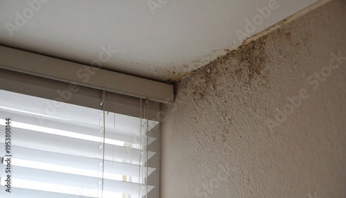 Black mold growth on walls and ceiling near window with blinds